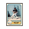 1981 Fleer Mike Proly Baseball Cards #358