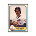 1981 Fleer Jerry Martin Baseball Cards #295