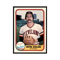 1981 Fleer Wayne Garland Baseball Cards #394