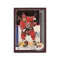 David Tanabe 2002 Topps #119 Carolina Hurricanes Hockey Card NM