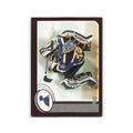 Brent Johnson 2002 Topps #122 St. Louis Blues Hockey Card NM