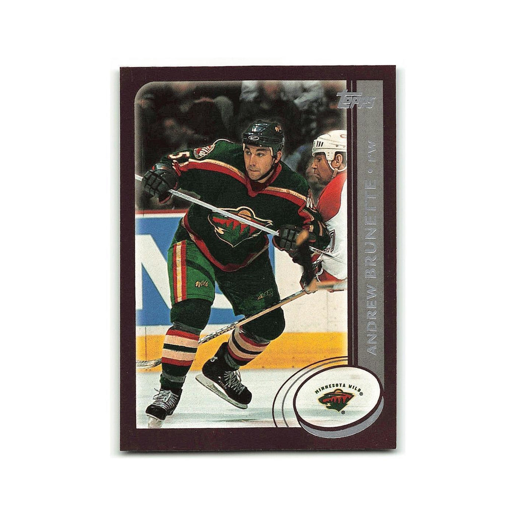 Andrew Brunette 2002 Topps #47 Minnesota Wild Hockey Card NM