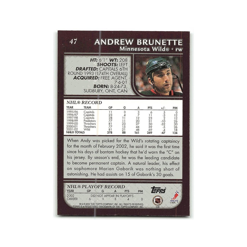 Andrew Brunette 2002 Topps #47 Minnesota Wild Hockey Card NM