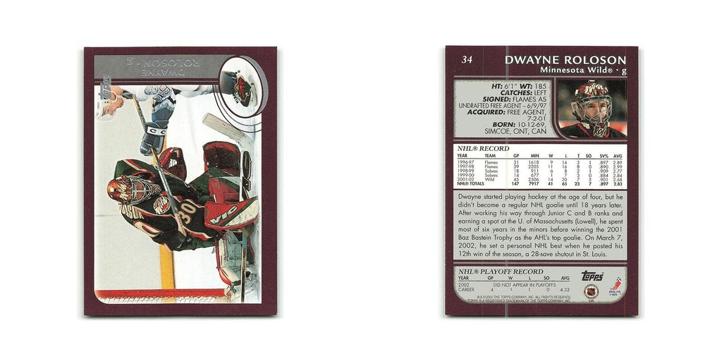 Dwayne Roloson 2002 Topps #34 Minnesota Wild Hockey Card NM
