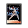 1992 Pinnacle Darrin Jackson Baseball Cards #207