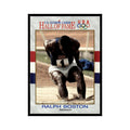 Ralph Boston 1991 Impel US Olympic Hall Of Fame #31 Baseball Card NM