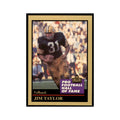 1991 ENOR Corp Jim Taylor Football Cards #136