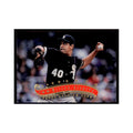 1997 Stadium Club Wilson Alvarez Baseball Cards #347
