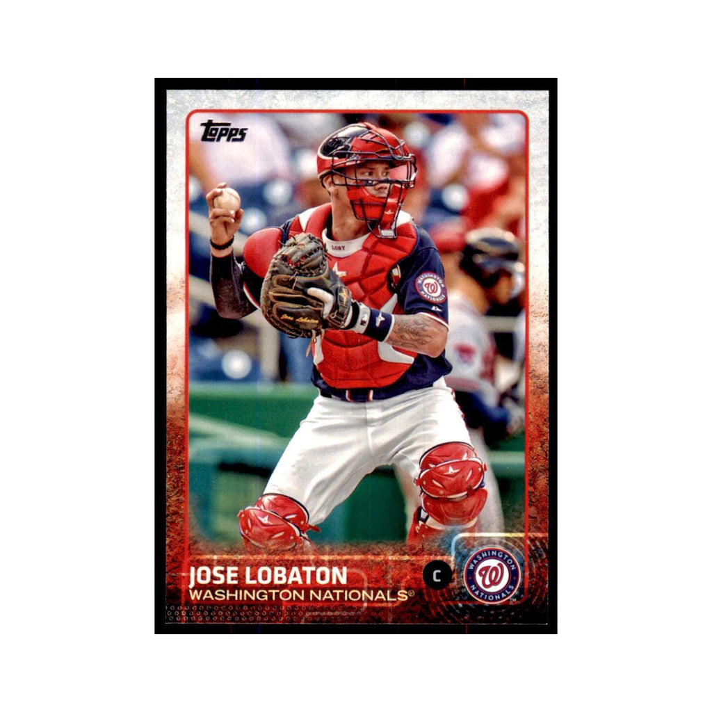 Jose Lobaton 2015 Topps #476 Baseball Cards Baseball Card NM