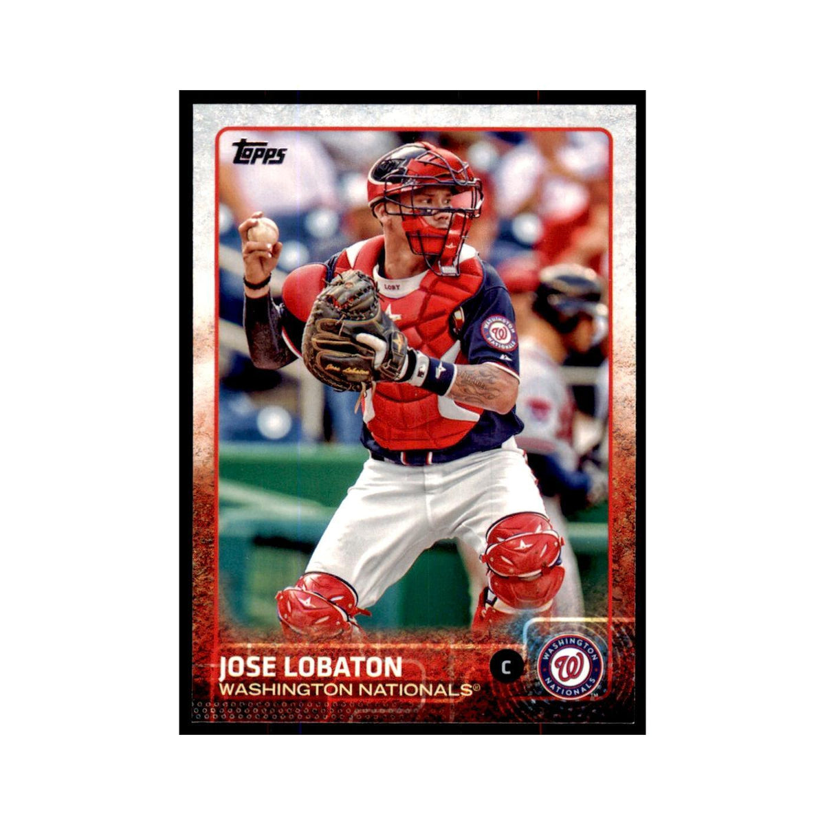 Jose Lobaton 2015 Topps #476 Baseball Cards Baseball Card NM