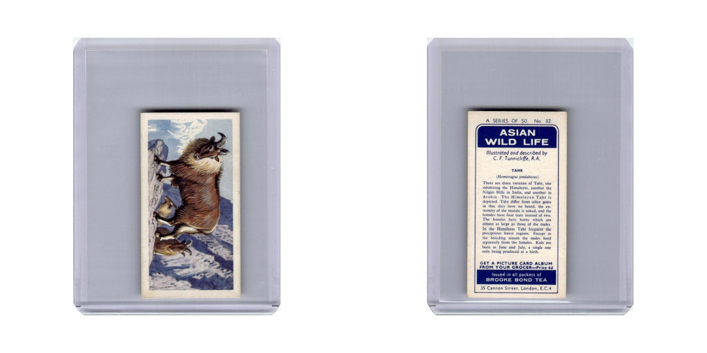 Tahr 1962 Brooke Bond Tea Asian Wild Life #32.0 Baseball Card VG