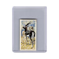 Blackbuck 1962 Brooke Bond Tea Asian Wild Life #33.0 Baseball Card VG