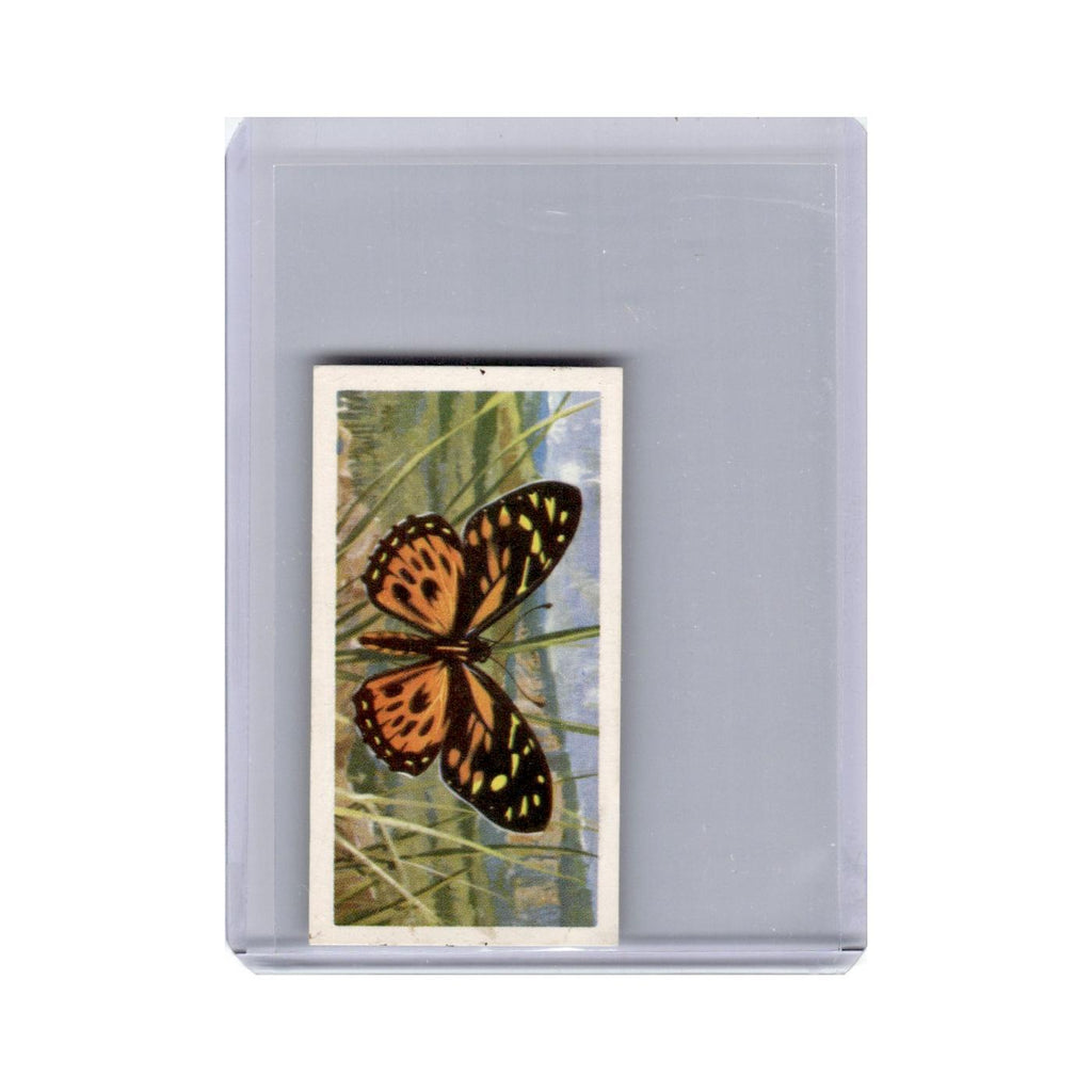 Papilio zagreus 1964 Brooke Bond Tea Butterflies of the World #33.0 VG