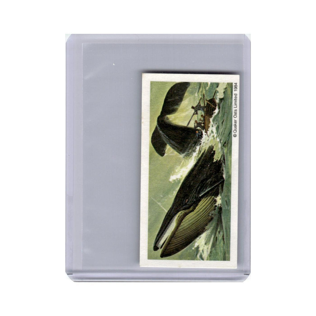 Blue Whale 1984 Quaker Oats Monsters of the Deep #10.0 Baseball Card VG