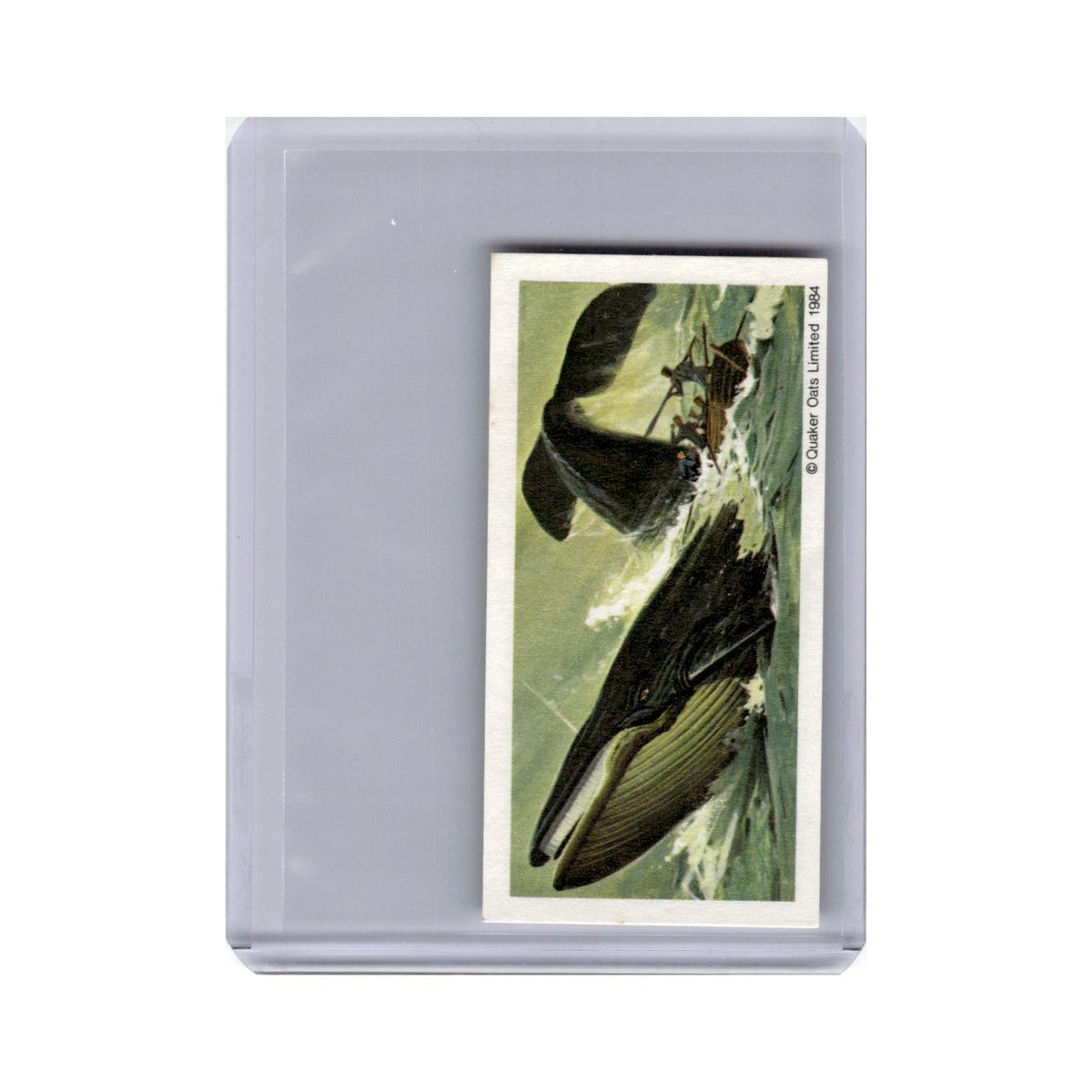 Blue Whale 1984 Quaker Oats Monsters of the Deep #10.0 Baseball Card VG