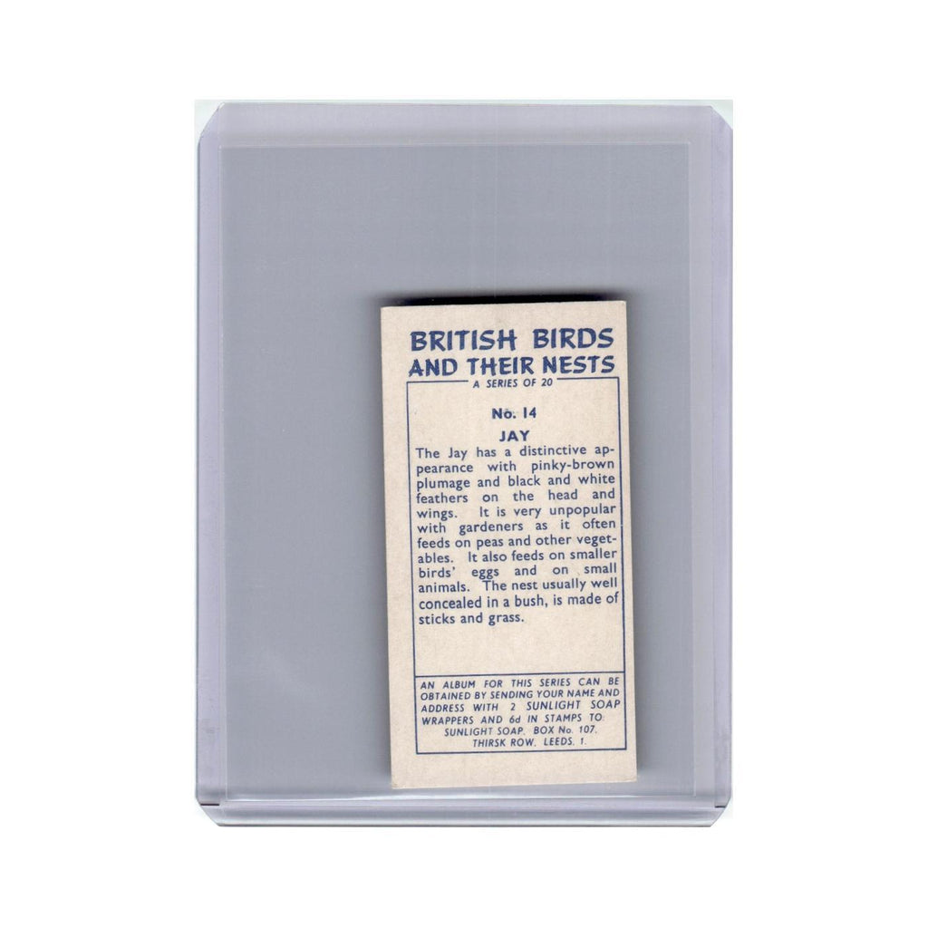 British Birds and Their Nests Jay 1961 Sunlight Soap #14 Baseball Card VG