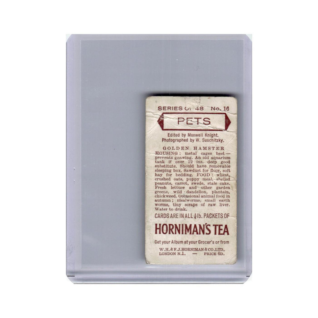 Pets Golden Hamster 1960 Horniman's Tea #16 Baseball Card Poor