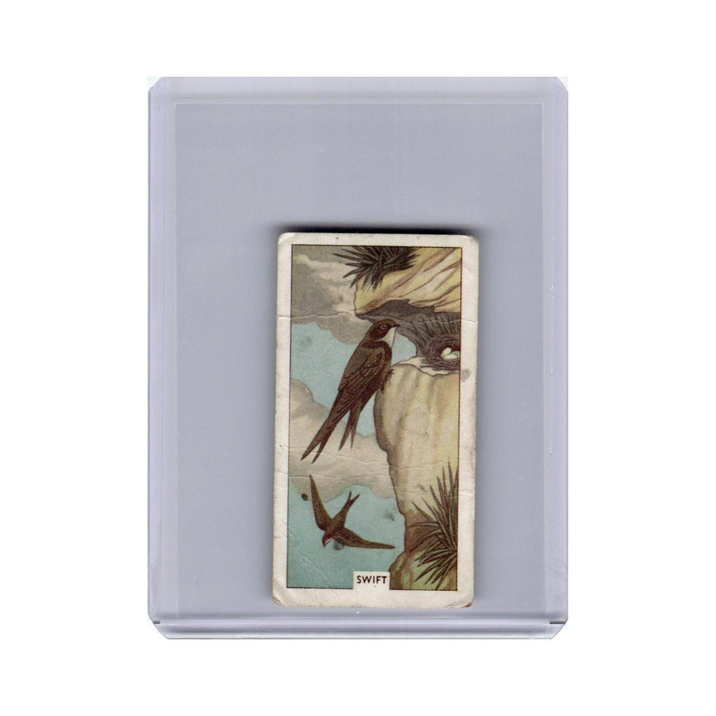 British Birds and Their Nests Swift 1961 Sunlight Soap #20 Baseball Card Poor
