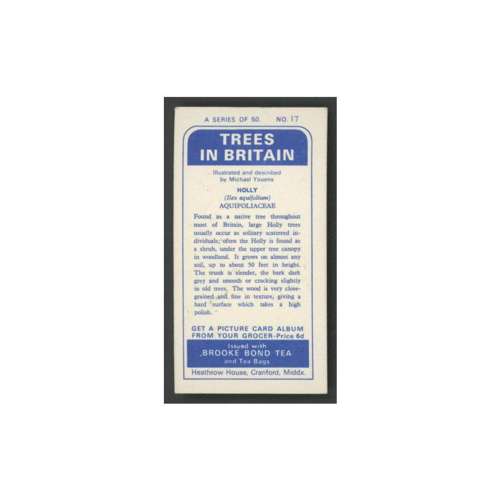 Holly 1966 Brooke Bond Tea Trees In Britain #17.0 Baseball Card EX