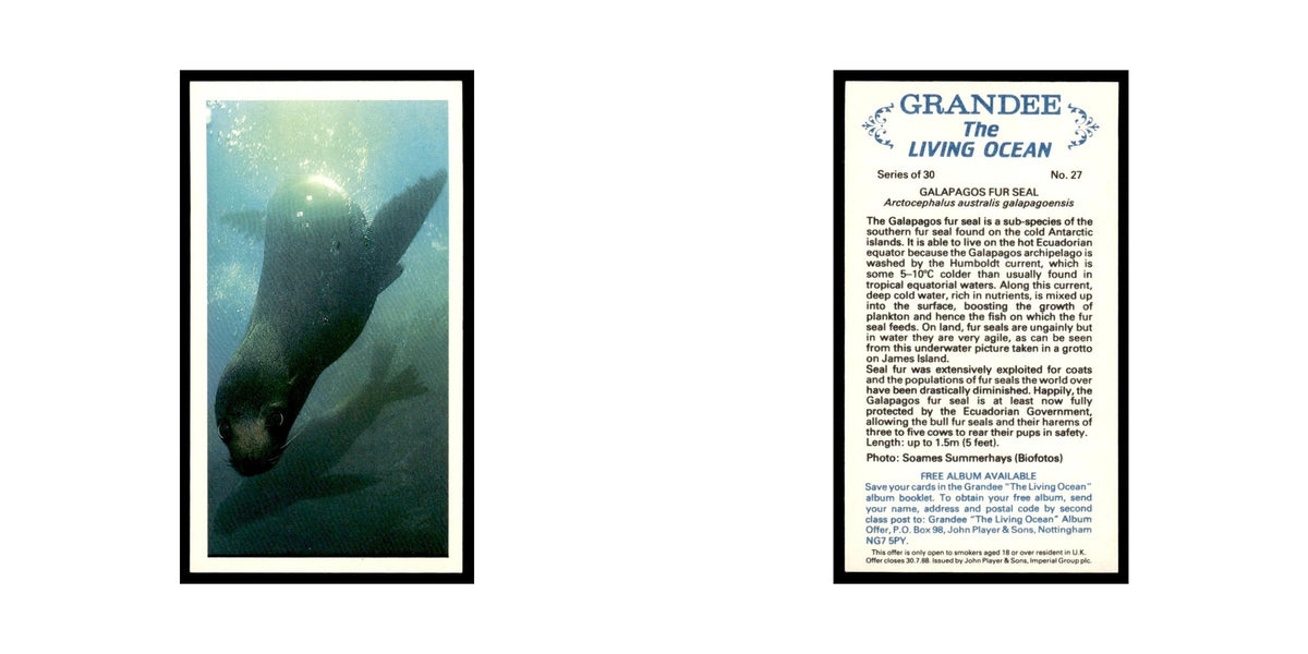 Galapagos Fur Seal 1985 Grandee Cigars The Living Ocean #27 Baseball Card EX