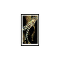 Southern Blue Ringed Octopus 1985 Grandee Cigars The Living Ocean #10 EX