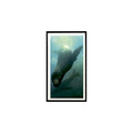 Galapagos Fur Seal 1985 Grandee Cigars The Living Ocean #27  EX