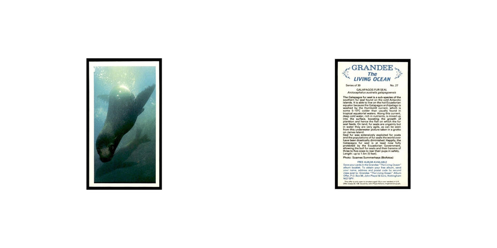 Galapagos Fur Seal 1985 Grandee Cigars The Living Ocean #27  EX