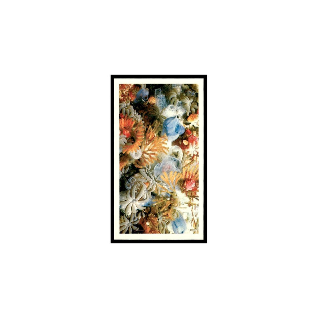 Sea Squirts 1985 Grandee Cigars The Living Ocean #3 Baseball Card EX