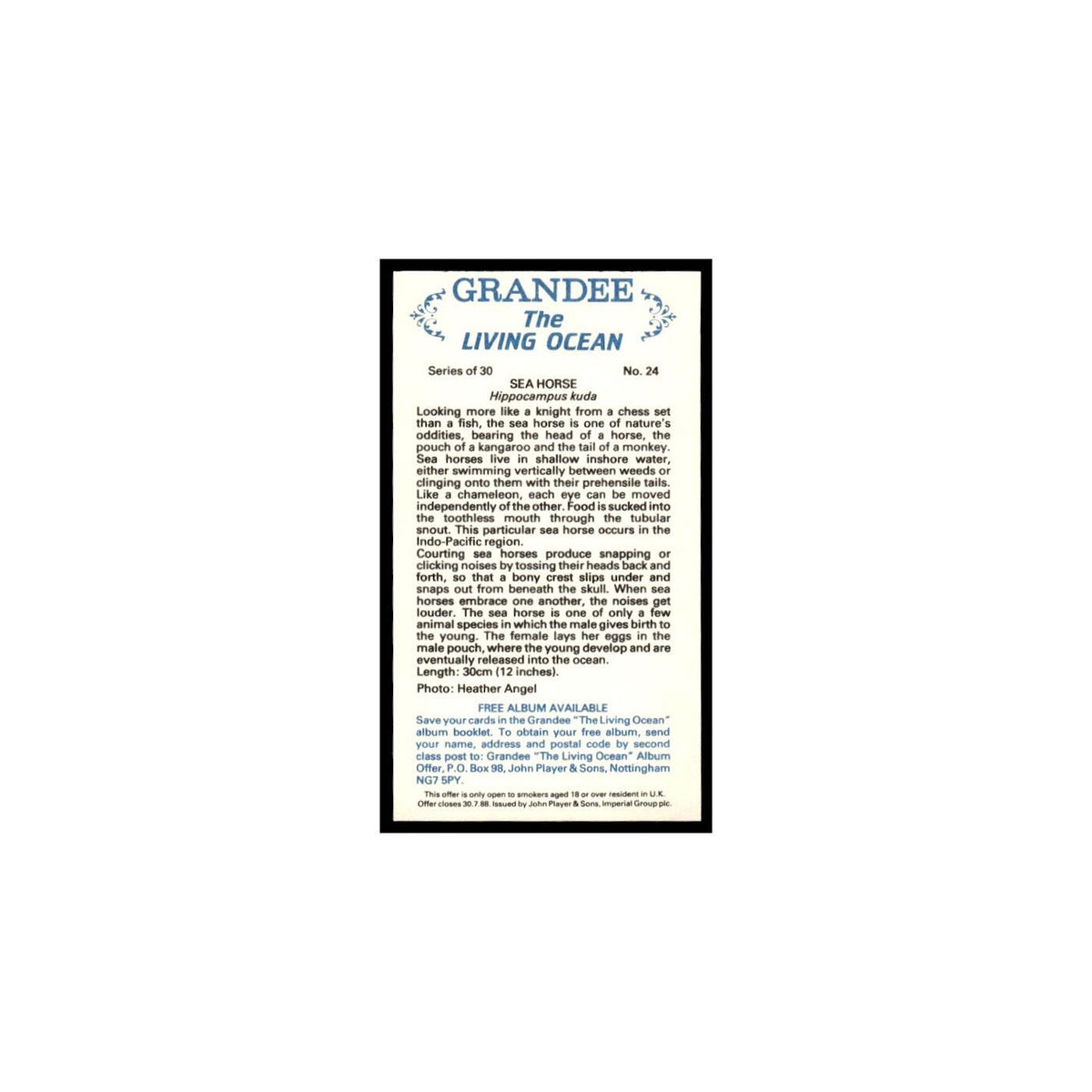 Sea Horse 1985 Grandee Cigars The Living Ocean #24 EX
