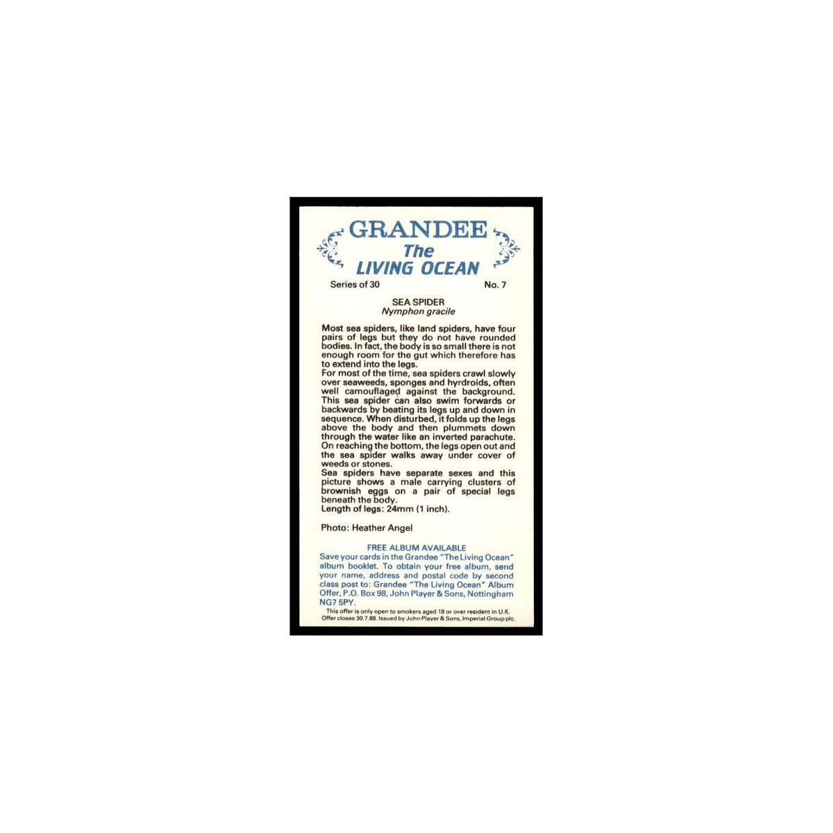 Sea Spider 1985 Grandee Cigars The Living Ocean #7 Baseball Card EX