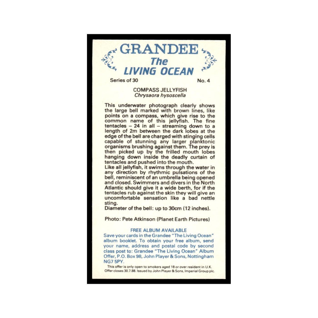 Compass Jellyfish 1985 Grandee Cigars The Living Ocean #4 EX
