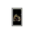 Deep Sea Fish 1985 Grandee Cigars The Living Ocean #16 Baseball Card EX