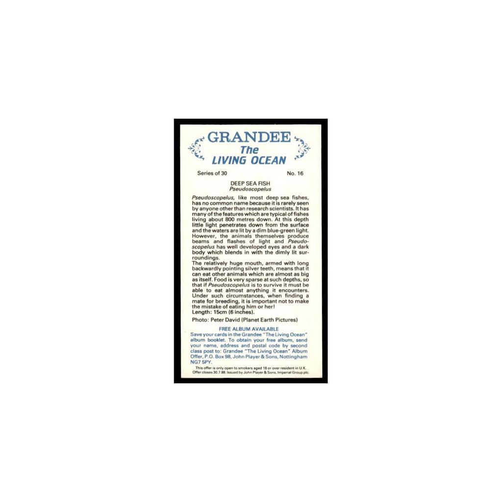Deep Sea Fish 1985 Grandee Cigars The Living Ocean #16 Baseball Card EX