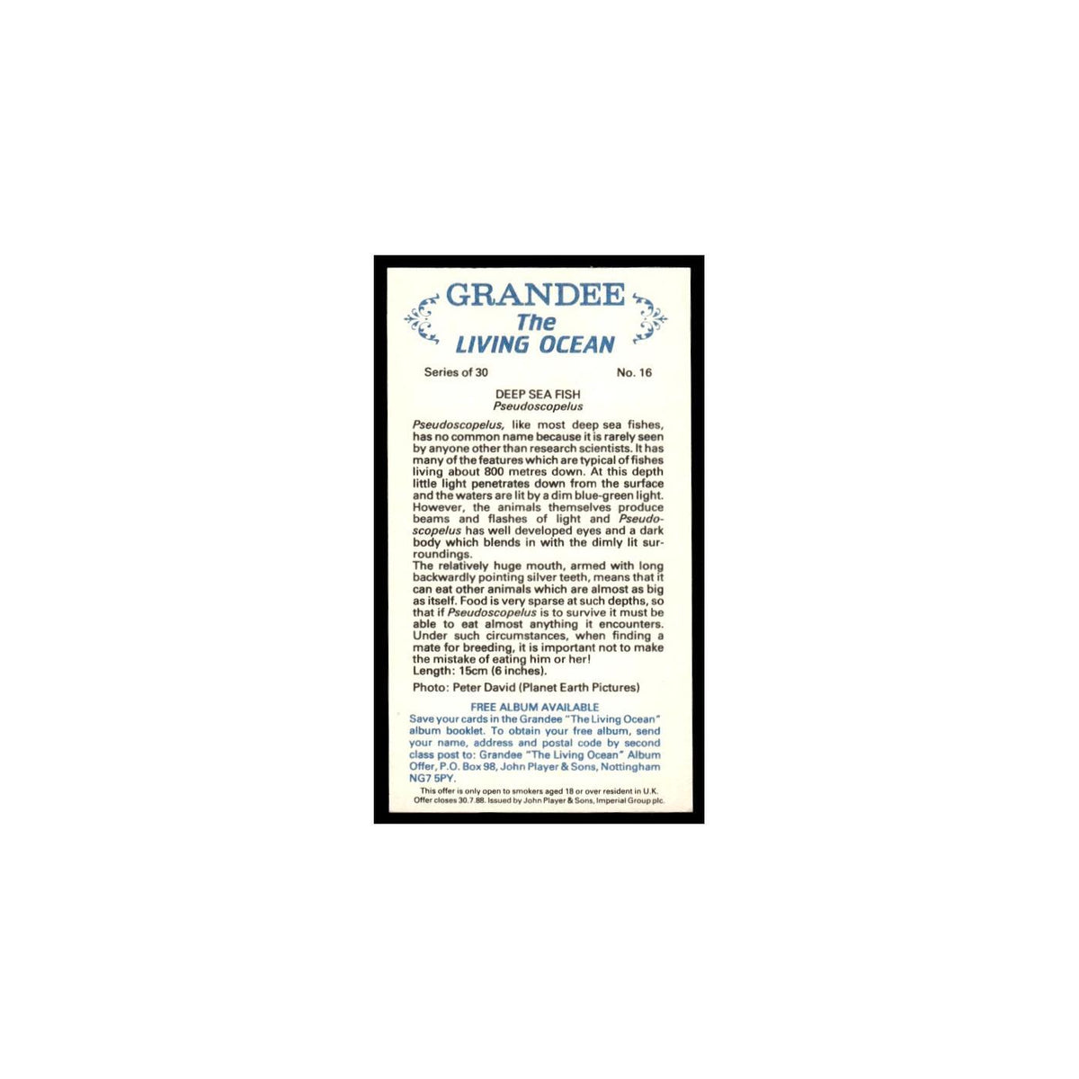 Deep Sea Fish 1985 Grandee Cigars The Living Ocean #16 Baseball Card EX