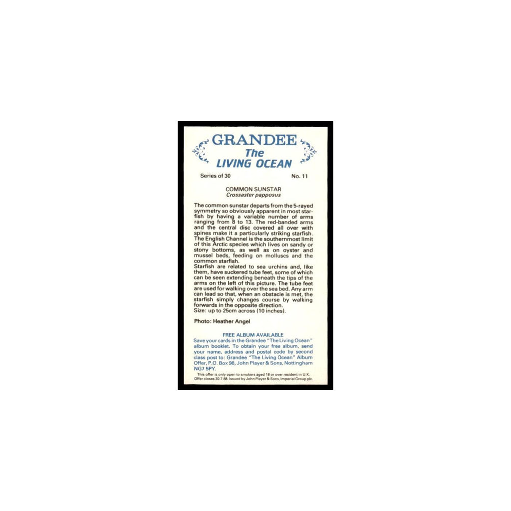 Common Sunstar 1985 Grandee Cigars The Living Ocean #11 Baseball Card EX