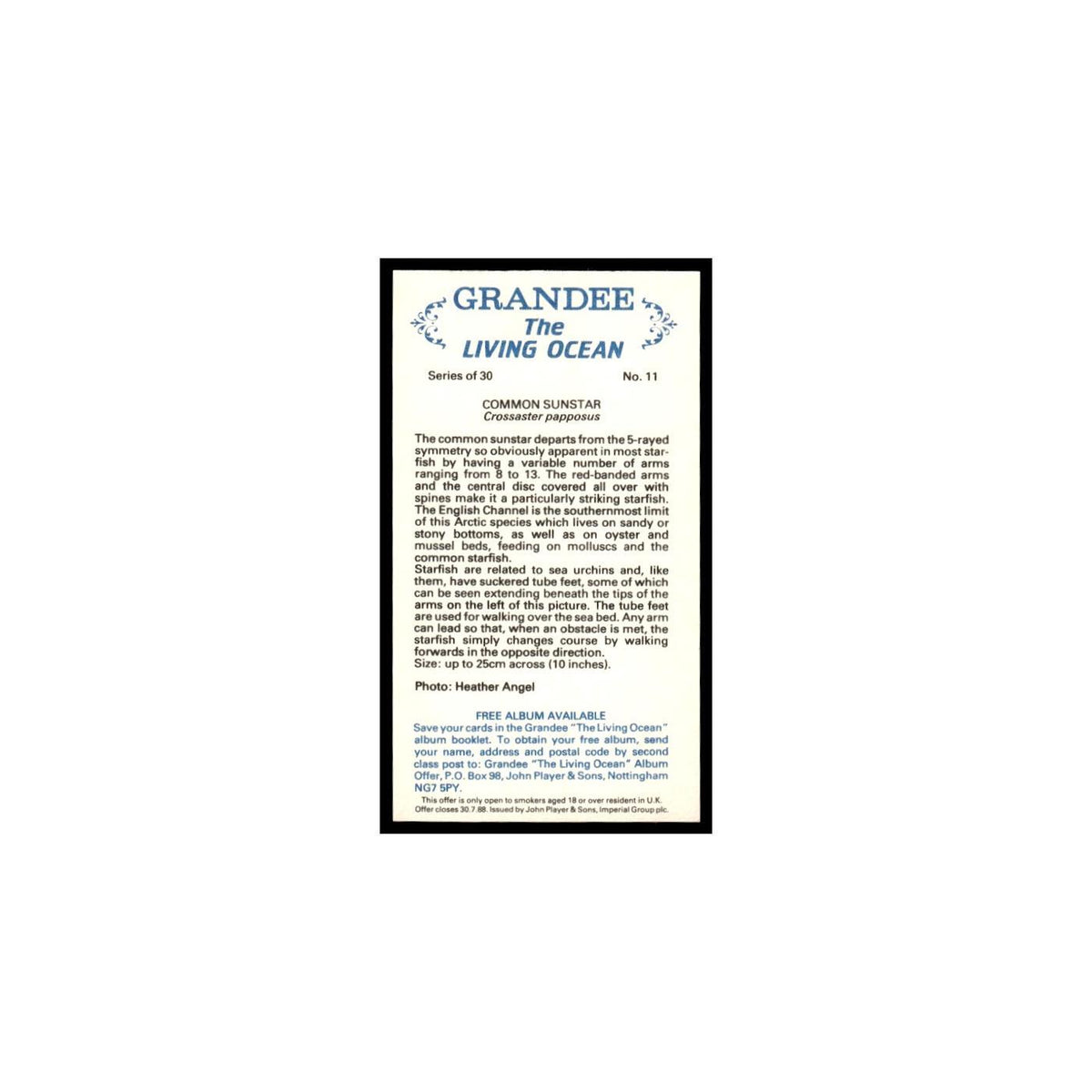 Common Sunstar 1985 Grandee Cigars The Living Ocean #11 Baseball Card EX