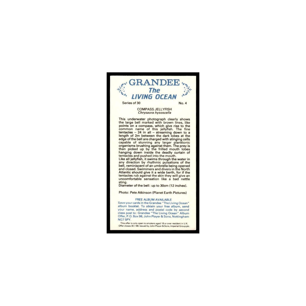 Compass Jellyfish 1985 Grandee Cigars The Living Ocean #4 EX