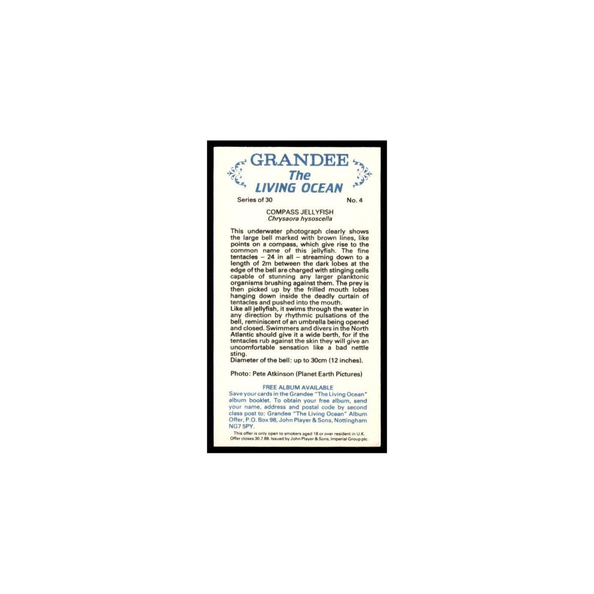 Compass Jellyfish 1985 Grandee Cigars The Living Ocean #4 EX