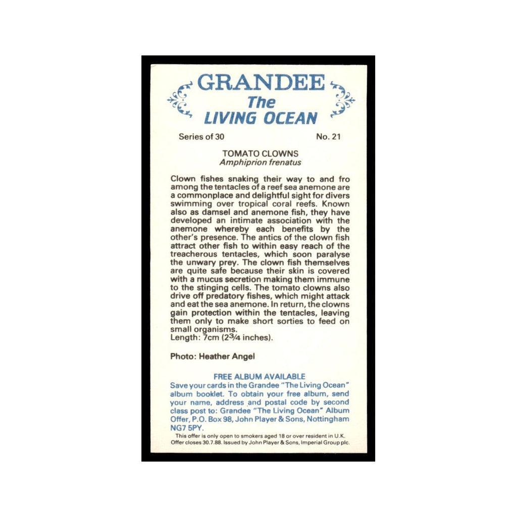 Tomato Clowns 1985 Grandee Cigars The Living Ocean #21 Baseball Card EX