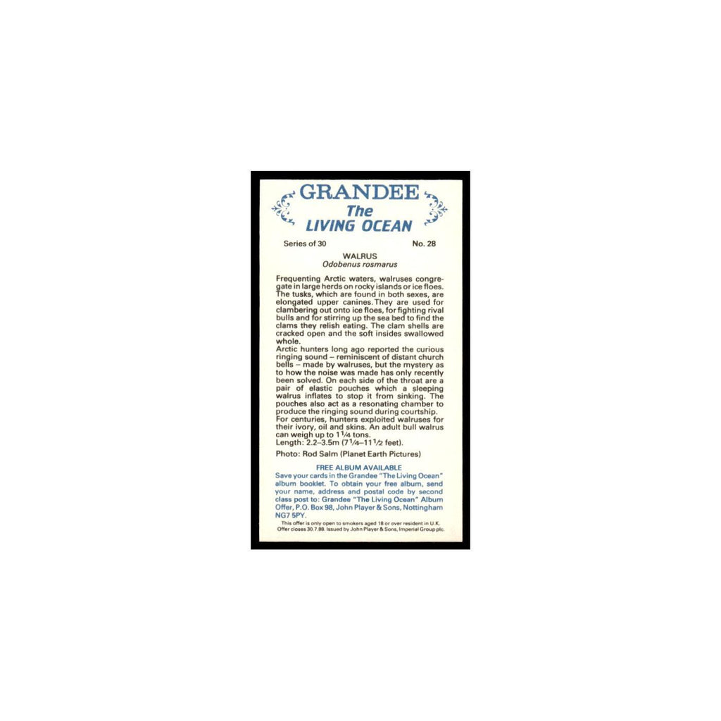 Walrus 1985 Grandee Cigars The Living Ocean #28 Baseball Card EX