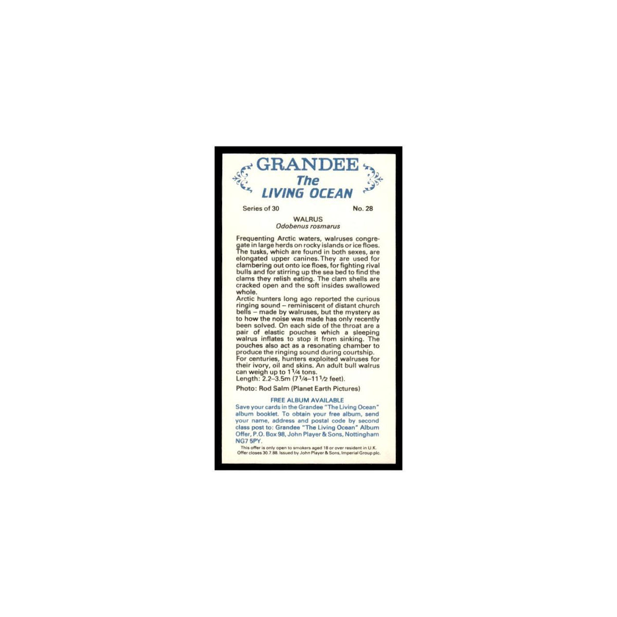 Walrus 1985 Grandee Cigars The Living Ocean #28 Baseball Card EX