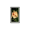 Sponges 1985 Grandee Cigars The Living Ocean #2 Baseball Card EX