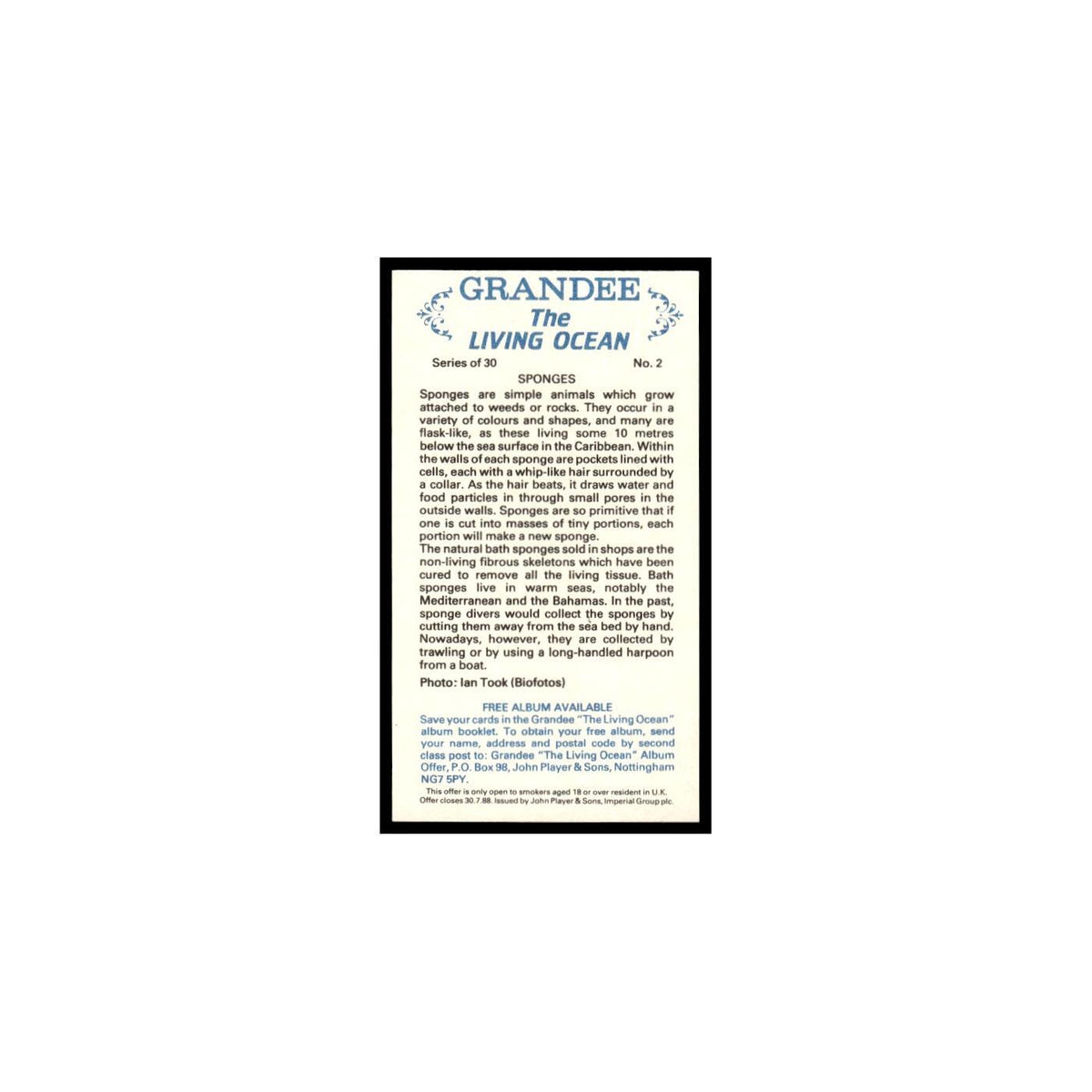 Sponges 1985 Grandee Cigars The Living Ocean #2 Baseball Card EX