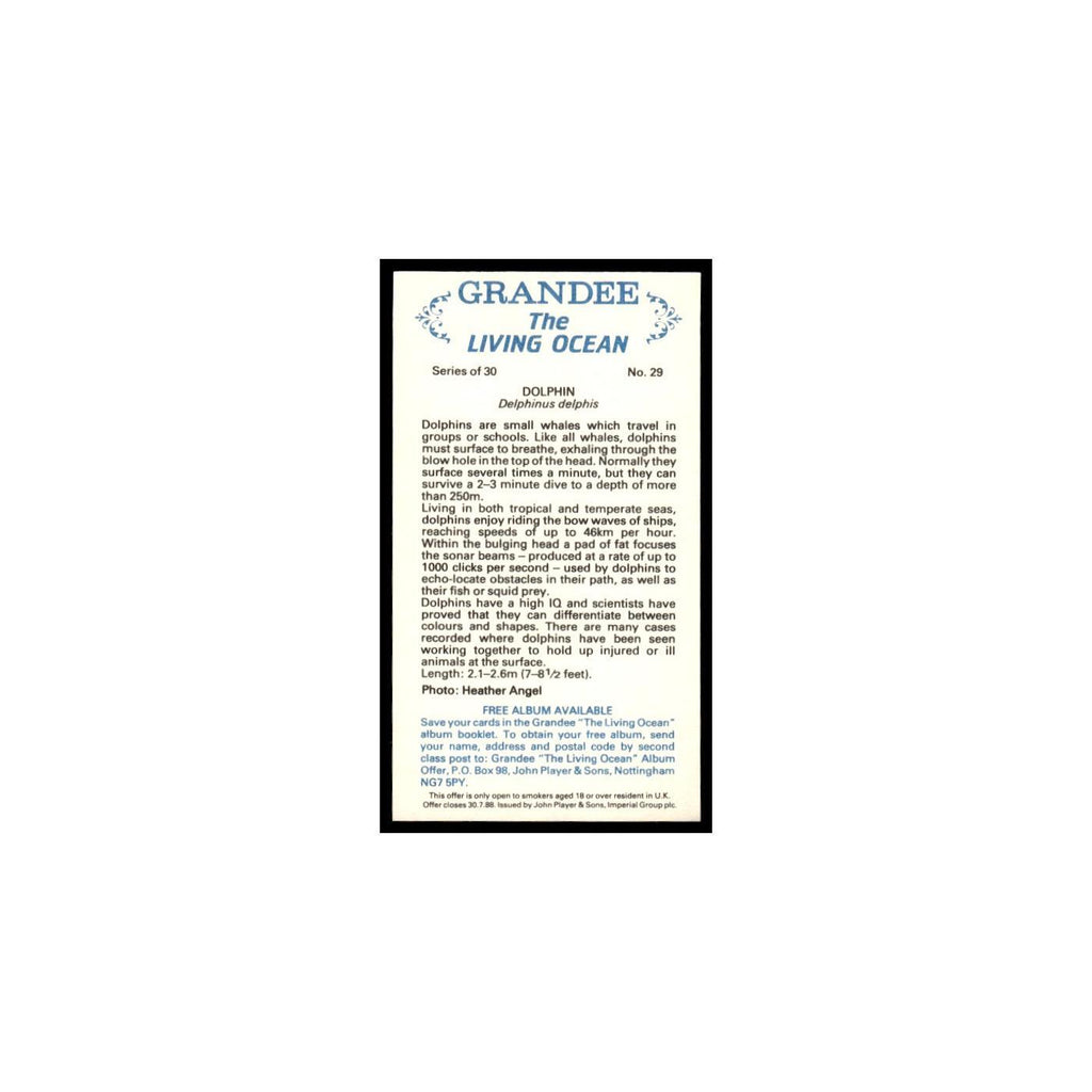 Dolphin 1985 Grandee Cigars The Living Ocean #29 Baseball Card EX