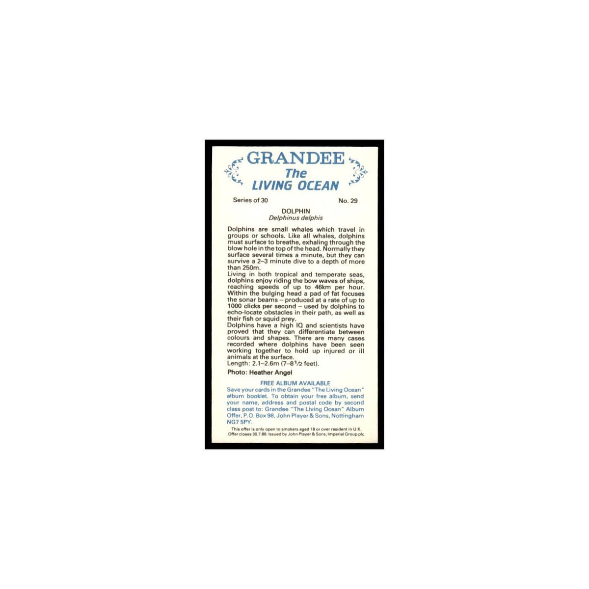 Dolphin 1985 Grandee Cigars The Living Ocean #29 Baseball Card EX