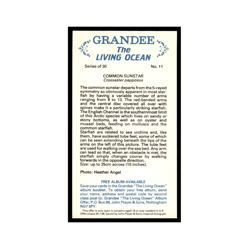 Common Sunstar 1985 Grandee Cigars The Living Ocean #11 EX