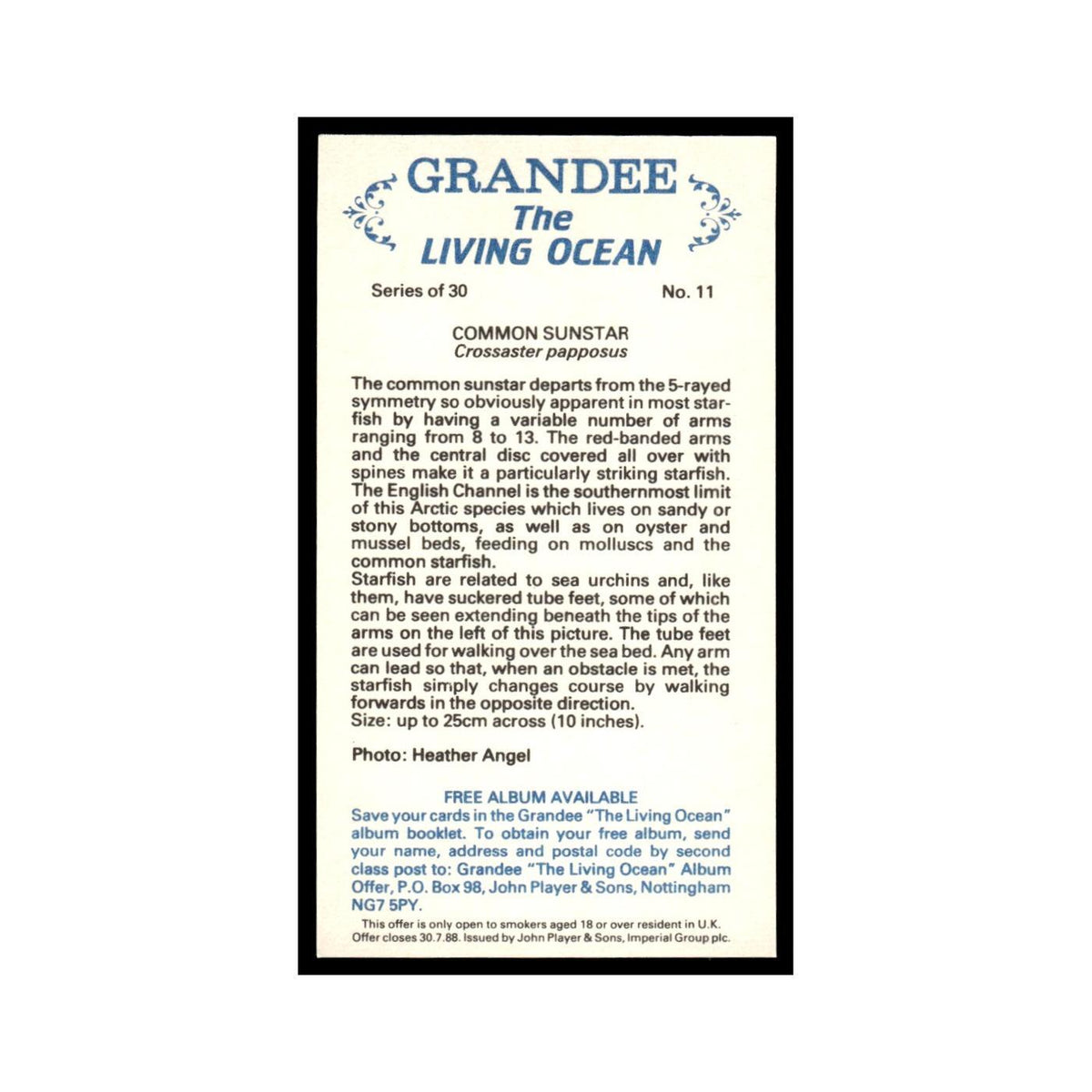 Common Sunstar 1985 Grandee Cigars The Living Ocean #11 EX