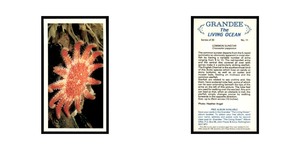 Common Sunstar 1985 Grandee Cigars The Living Ocean #11 EX