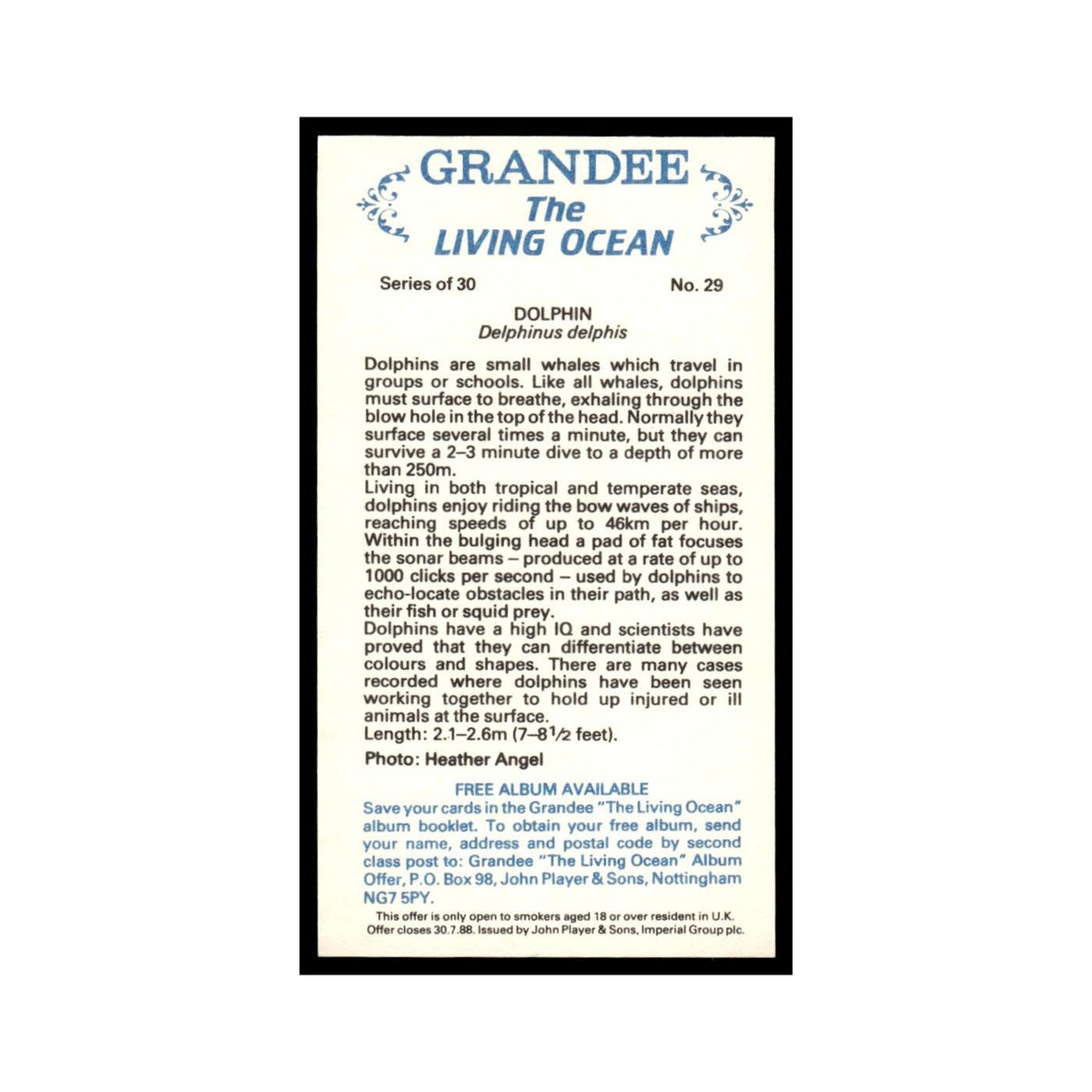 Dolphin 1985 Grandee Cigars The Living Ocean #29 Baseball Card EX