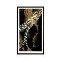 Southern Blue Ringed Octopus 1985 Grandee Cigars The Living Ocean #10 EX